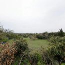 신화보건진료소 이미지