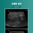 24시 위드힐동물메디컬센터 이미지