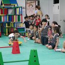 상상개나리 이미지