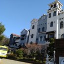 석화꽃무지 풀무지 유치원 이미지