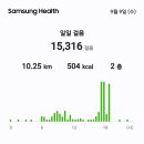 큰아들이잔듸깍는기계로가족묘원바닥벌초와주차장벌초를하고송풍기를빌려와깨끗이청소봉분과묘지석주위와언덕은예취기를메고벌초를15,316보10.25 이미지