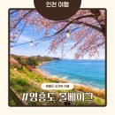 <대관>『벚꽃이 지는날에』 | 영흥도 카페 몰베이크 오션뷰와 소금빵의 조화, 벚꽃 피던 날의 추억 (영업정보/주차/후기)