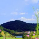 송호골프디자인주 이미지