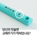 월간건강 | 입 작은 분 주목! 치과추천 작은 헤드 덴티넘 한 달 한번 교체 월간칫솔 후기