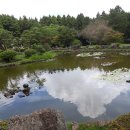 민원해결전문 행정사합동사무소 이미지