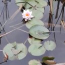 박혜의원 이미지