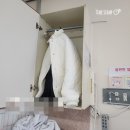 안암2 | 손가락 내 연골종 제거 후기(고대안암병원 입원후기) (2)