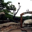 풍물기행 이미지