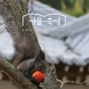 (재)천리포수목원 에코힐링센터 | 충남 태안 ] 바다와 함께하는 천리포수목원 &#39;2025천리포가을축제 ~25. 11. 23&#39; / 19세청소년 무료입장...