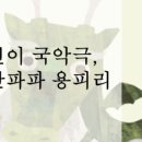 어린이국악극 '만만파파 용피리' 이미지