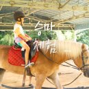 금성승마장