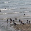 티라게스트하우스 이미지