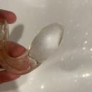 폴리덴탈 | 틀니, 교정유지장치, 스플린트 변색 방지 위한 주의점