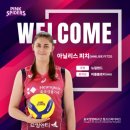 흥국생명 이미지