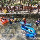 천마산 물놀이장 이미지