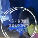 탁구교실 / 강좌번호 35 | 시흥 신상 해양생태과학관 후기｜관람 소요시간 &amp; 입장료 아쉬웠던 점까지 솔직 리뷰
