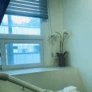 e-좋은치과의원 이미지