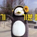 소라잡는댕댕이 이미지