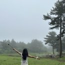 깃발목장 이미지