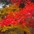 신도림고등학교 이미지