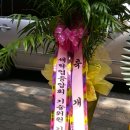 백조 명품 세탁 이미지