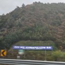 캘리그라피(C) | 평창 세계올림픽도시연맹 총회 및 레거시포럼 캘리그라피 퍼포먼스