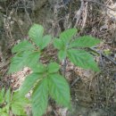 당골농장 이미지