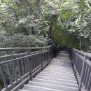 홍릉초교 이미지