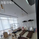 오필라테스 네이버블로그