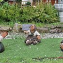 남원관광지 이미지