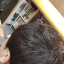오즈남성헤어