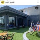 루프앤독 이미지