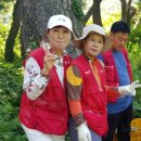 영남장애인협회 이미지