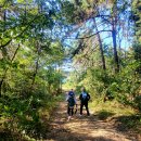 용남공원 이미지