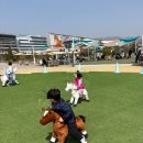 포니랜드 | 주말에 아이랑 갈만한곳 추천 : 과천 포니랜드, 과천 경마장 후기 &amp; 꿀팁