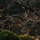 목련민박 이미지