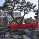 신림면 행정복지센터 이미지