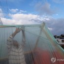 지구천막