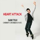 Heart Attack / Sam Tsui (feat,Chrissy Costanza) 이미지
