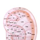 내몸날다