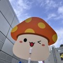 로얄사 | [메이플 팬 페스트] 2023년 4월 29일 오후차 후기