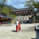 일일시호일 이미지