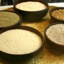 옛날보리집 이미지