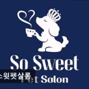 쏘스윗펫살롱 이미지