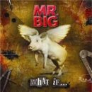 미스터빅 이미지