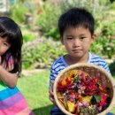 꼼지의 작은세상 이미지