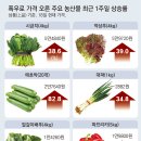 그냥 심심해서요. (22862) 상추 39% 뛰었다 이미지