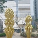 아름다운 반복 이미지