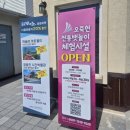 동해안자전거도로1-3(동) | 동해안종주 강원(1/7), 정동진역~경포호 공사구간 포함 | 1일차 2026.06.06(토) (ft. 위미바이크 모델8...
