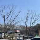 사선정1박2일 이미지